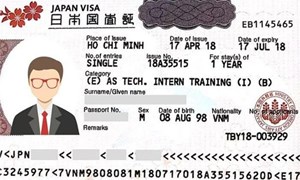Chính sách visa lao động toàn cầu: Thay đổi lớn trong năm 2025