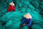 Sự tương đồng giữa văn hóa Đài Loan và Việt Nam