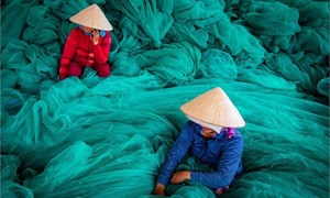 Sự tương đồng giữa văn hóa Đài Loan và Việt Nam