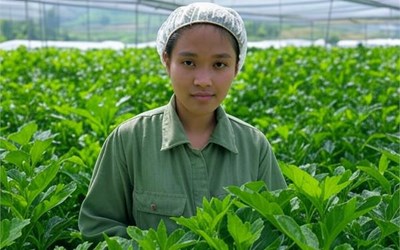 Xuất khẩu lao động và biến đổi khí hậu: Ngành xanh dẫn đầu?